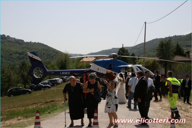 elifoto (219)